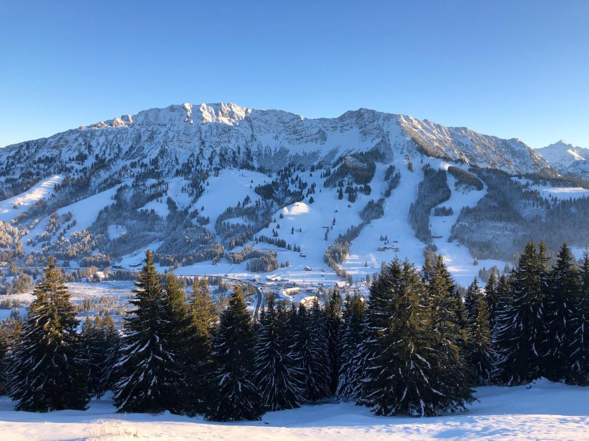 Mountain Lodge Oberjoch, Bad Hindelang - Moderne Premium Wellness Apartments Im Ski- Und Wandergebiet Allgau Auf 1200M, Family Owned, 2 Apartments Mit Privat Sauna Luaran gambar